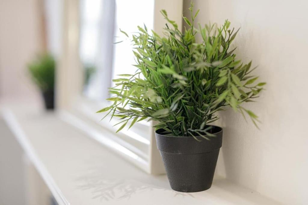 Central Wroclaw Apartment - City Center - Bright And Cozy - U11 Εξωτερικό φωτογραφία